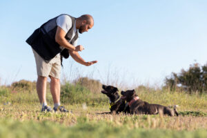 Como educar a tu perro sin gritarle - Image by Magnific