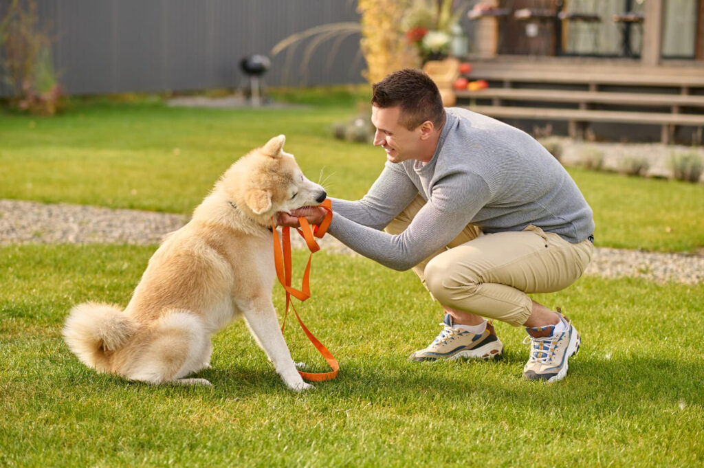 C&oacute;mo funciona la mente de tu perro - Magnific
