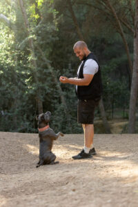 El m&eacute;todo de refuerzo positivo: educa a tu perro sin miedo - Magnific