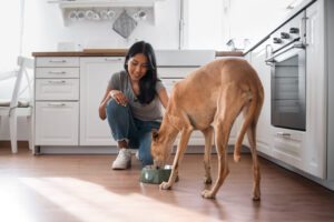 Alimentos que est&aacute;n da&ntilde;ando a tu mascota (y nadie te lo dice) - Image by magnific