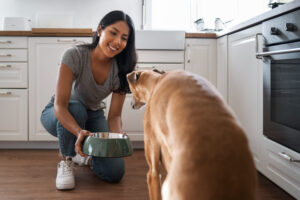 Alimentos que están dañando a tu mascota (y nadie te lo dice) - Image by magnific